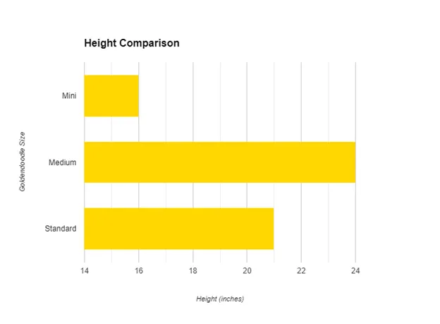 Goldendoodle-Size-Comparison