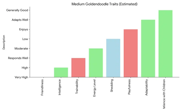 Medium-Goldendoodle-traits