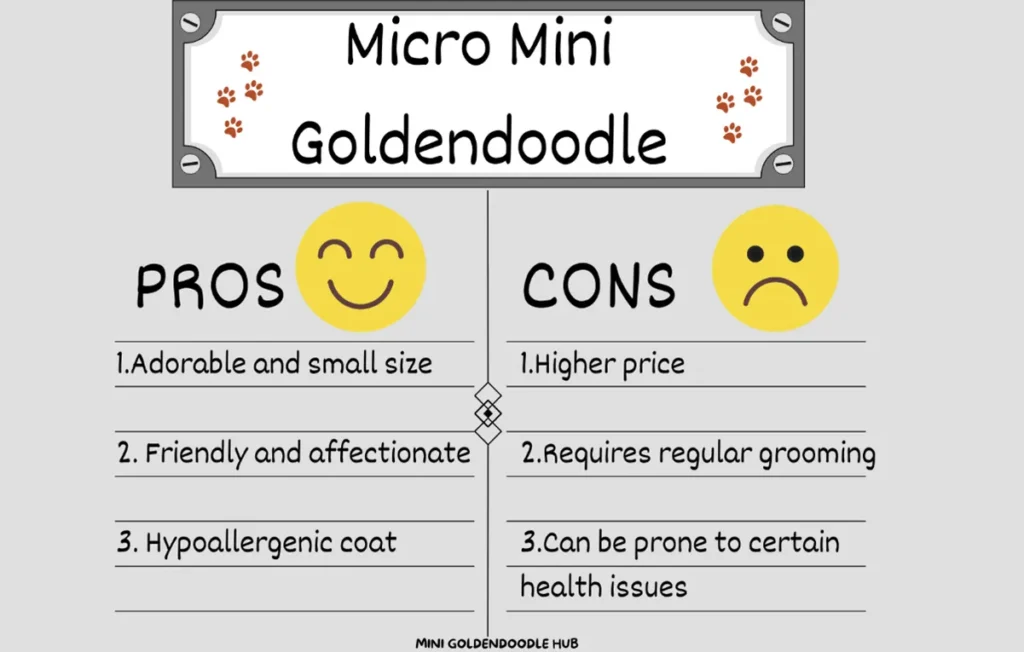 Micro-Mini-Goldendoodle-Pros-and-Cons