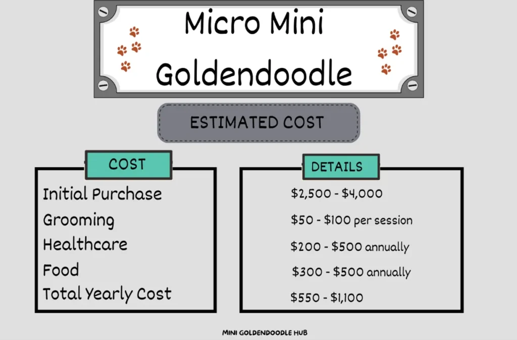 Micro-Mini-goldendoodle-Cost