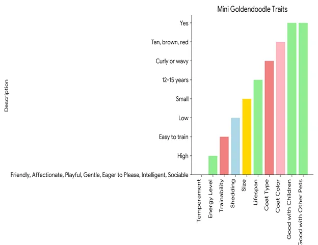 Mini-Goldendoodle-traits