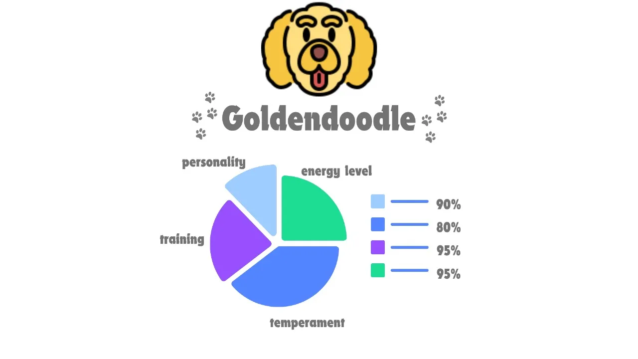 Goldendoodle Facts