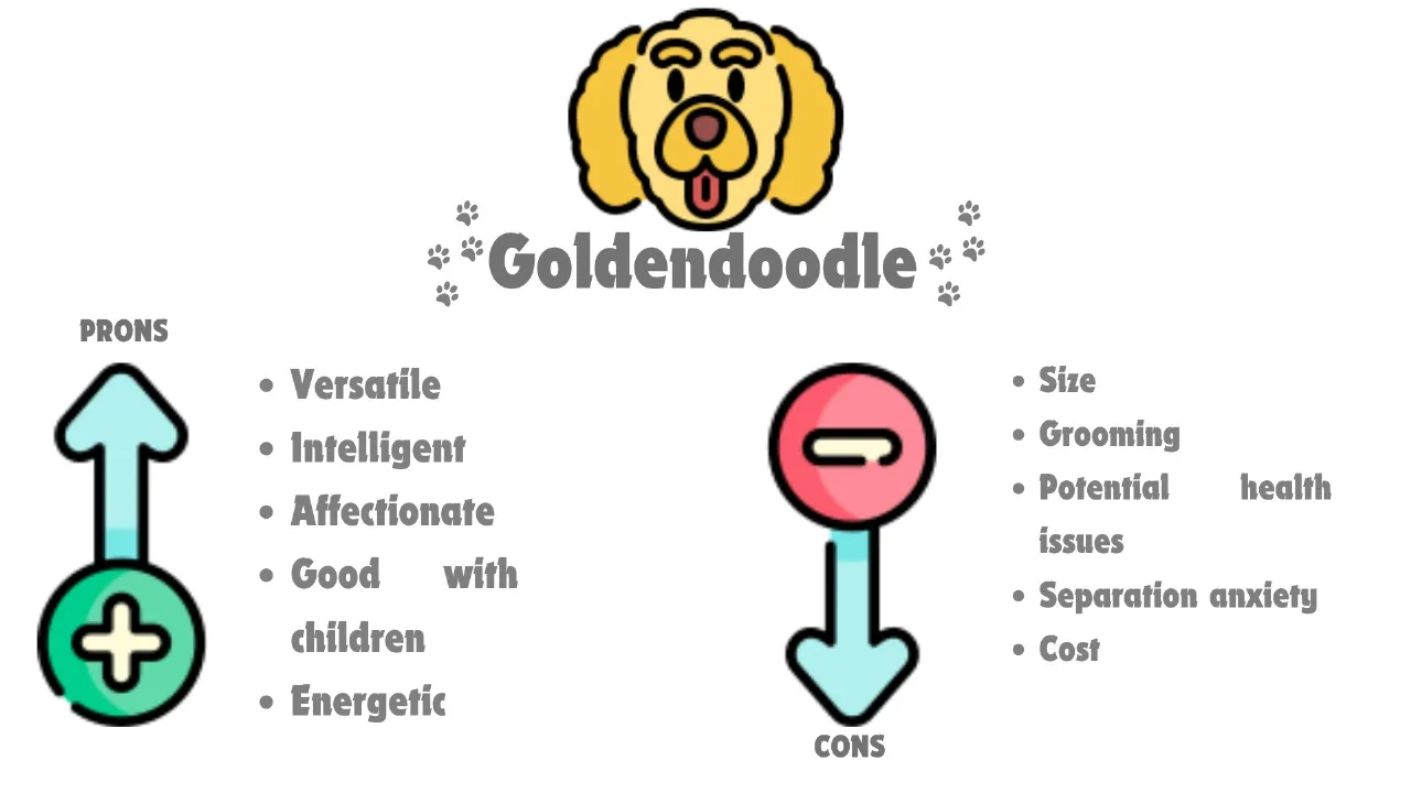 Goldendoodle pros and cons