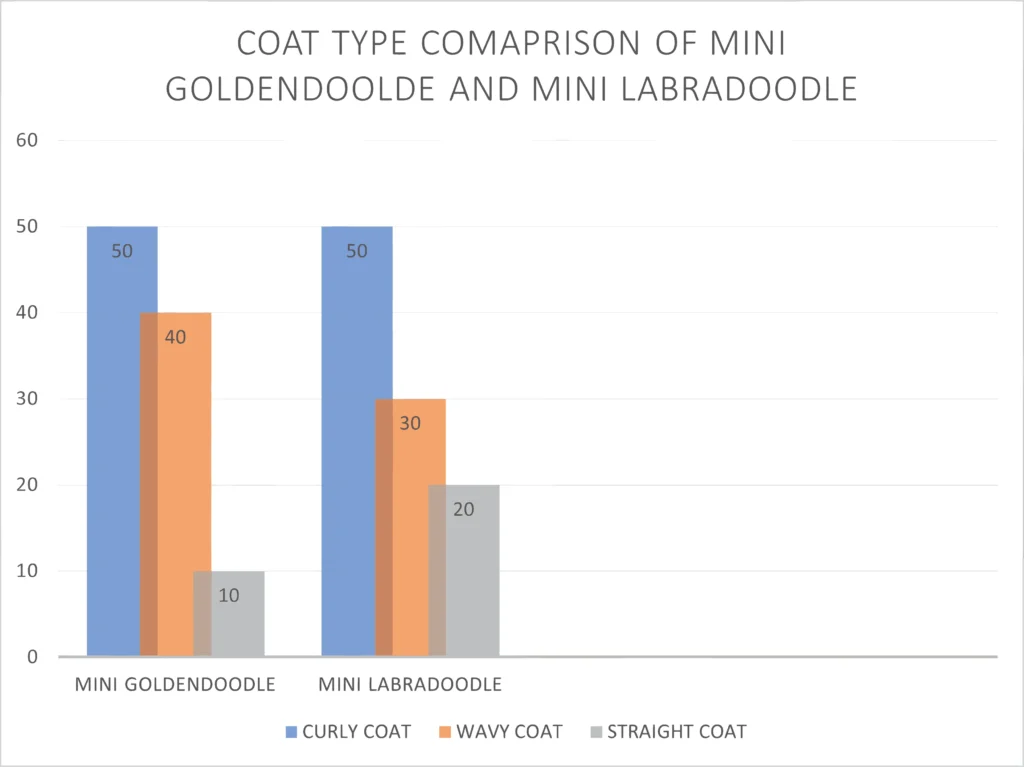 mini goldendoodle vs mini labradooble coat type