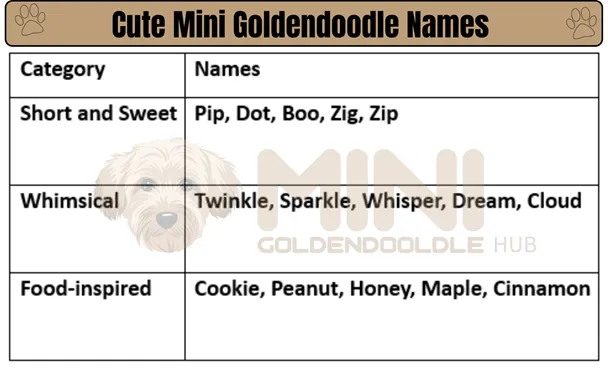 Cute-Mini-Goldendoodle-Names