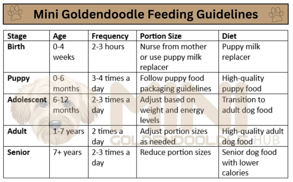 Feeding-Guidelines-Mini-Goldendoodle-Weight