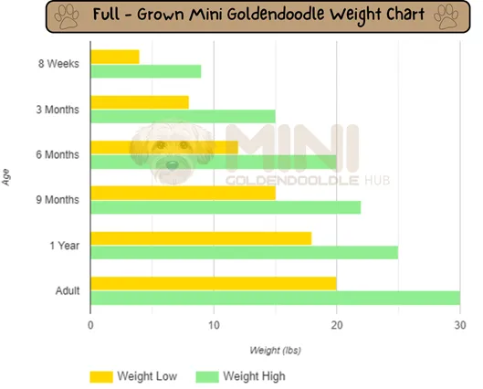 Full-Grown-Mini-Goldendoodle-weight-chart