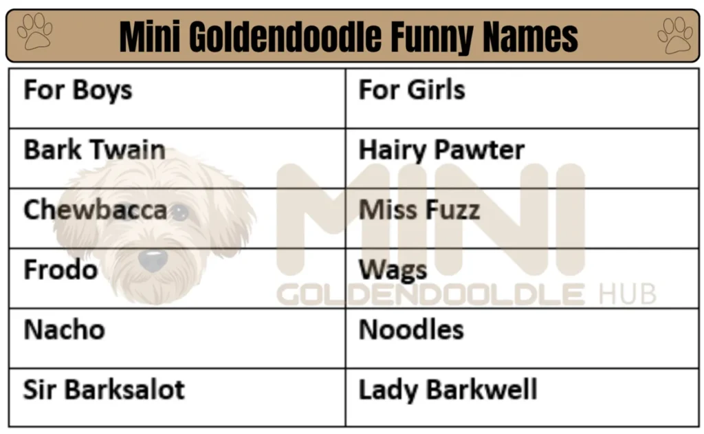 Funny-Mini-Goldendoodle-Names