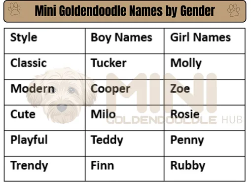 Mini Goldendoodle Names by Gender minigoldendoodlehub.us- Mini Goldendoodle Hub