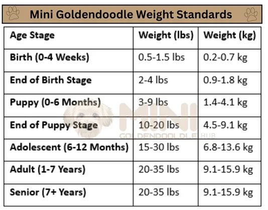 Mini-Goldendoodle-Weight-Standards