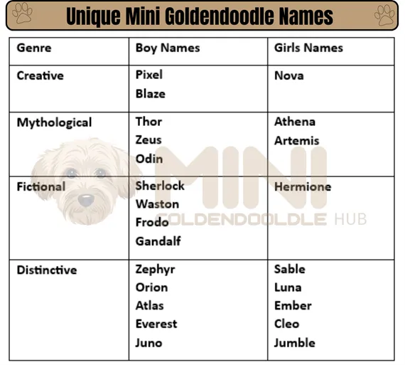 Unique-Mini-Goldendoodle-Names