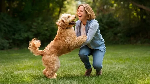 Goldendoodle-grooming-face