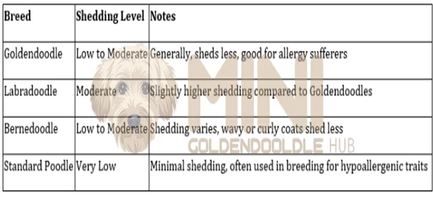 Goldendoodle-vs-Labradoodle-Shedding