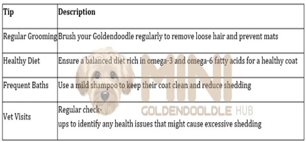 Manage-Goldendoodle-Shedding